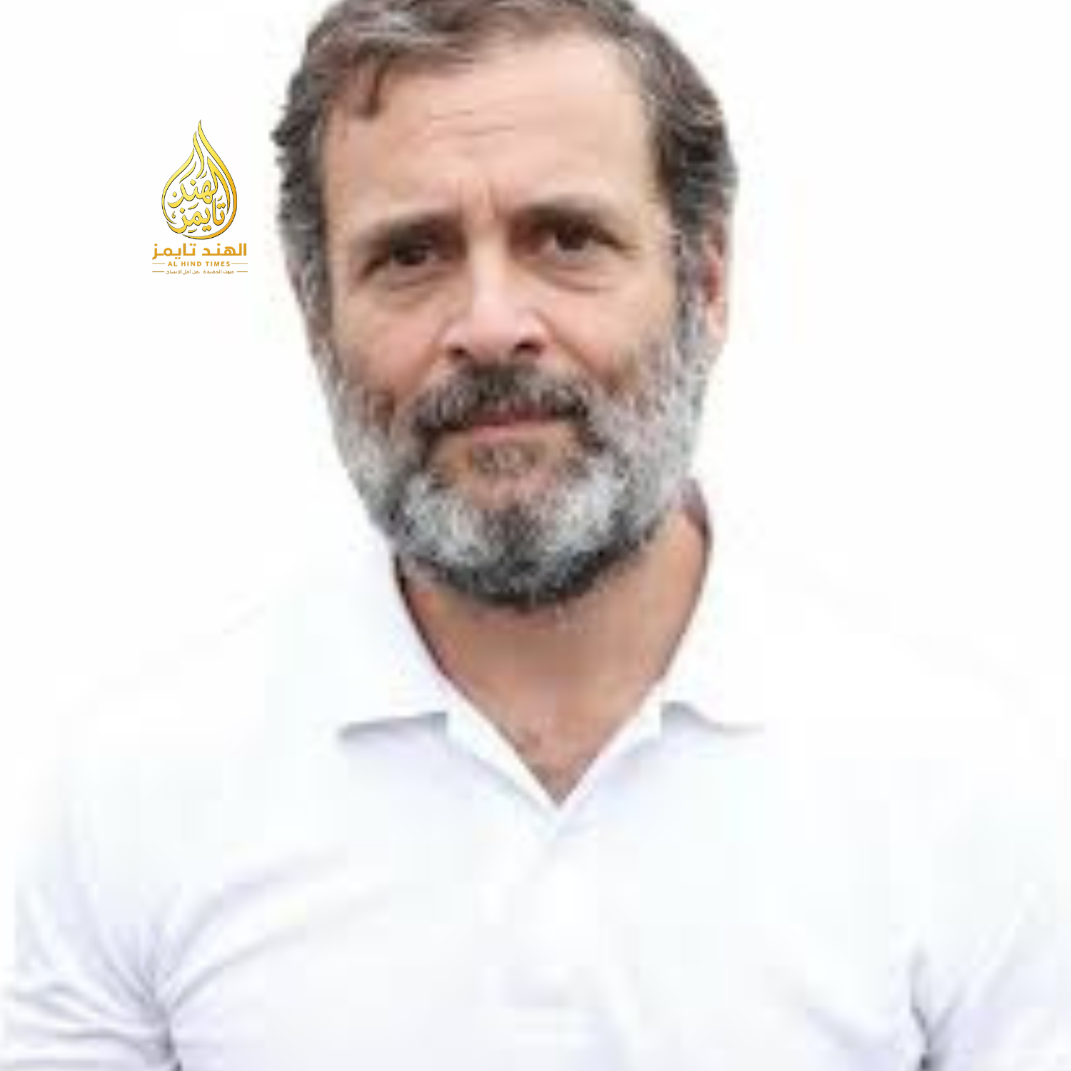 Rahul Gandhi MP
