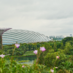 Visitors exploring Jewel Changi Airport with the HSBC Rain Vortex indoor waterfall and lush indoor gardens.