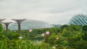 Visitors exploring Jewel Changi Airport with the HSBC Rain Vortex indoor waterfall and lush indoor gardens.