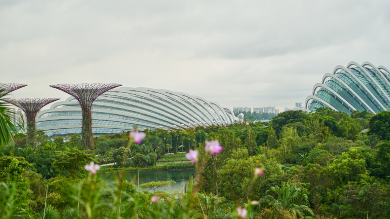Singapore Changi Airport Tour Guide: Explore One of the World’s Best Airports