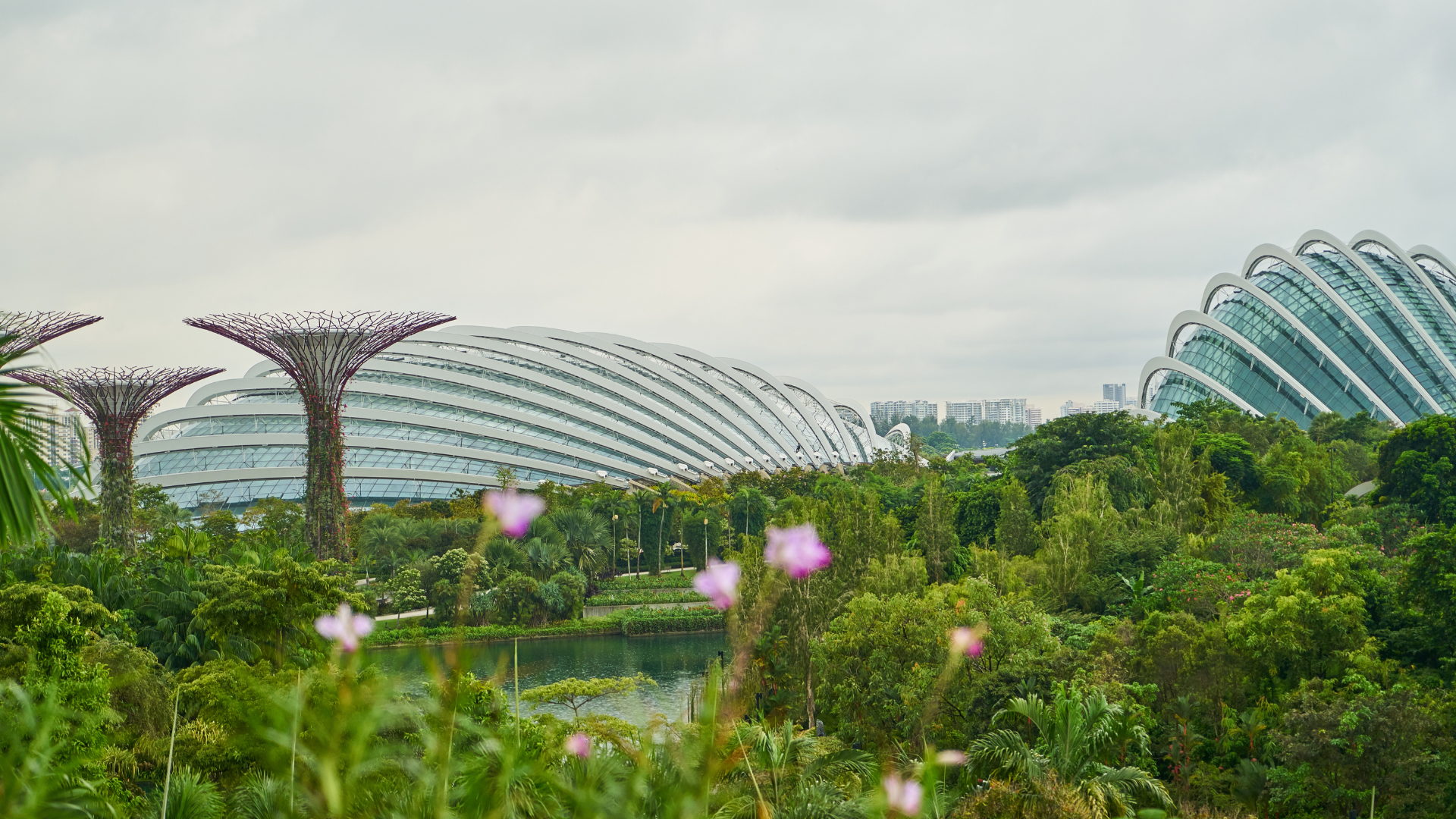 Visitors exploring Jewel Changi Airport with the HSBC Rain Vortex indoor waterfall and lush indoor gardens.